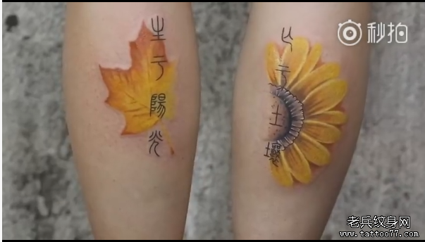 小腿叶子向日葵纹身视频