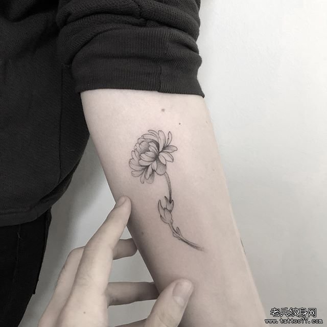 大臂菊花纹身图案