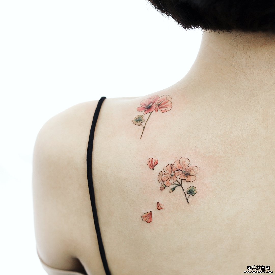 色彩肩胛花卉纹身