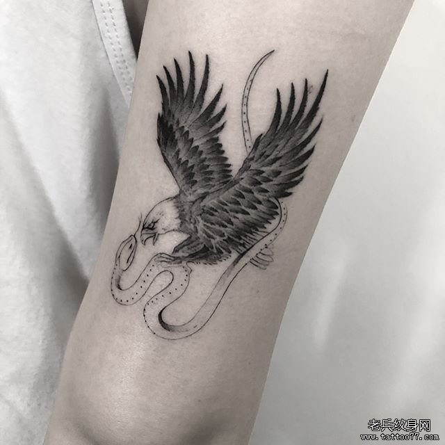 大臂小清新蛇鹰纹身图案