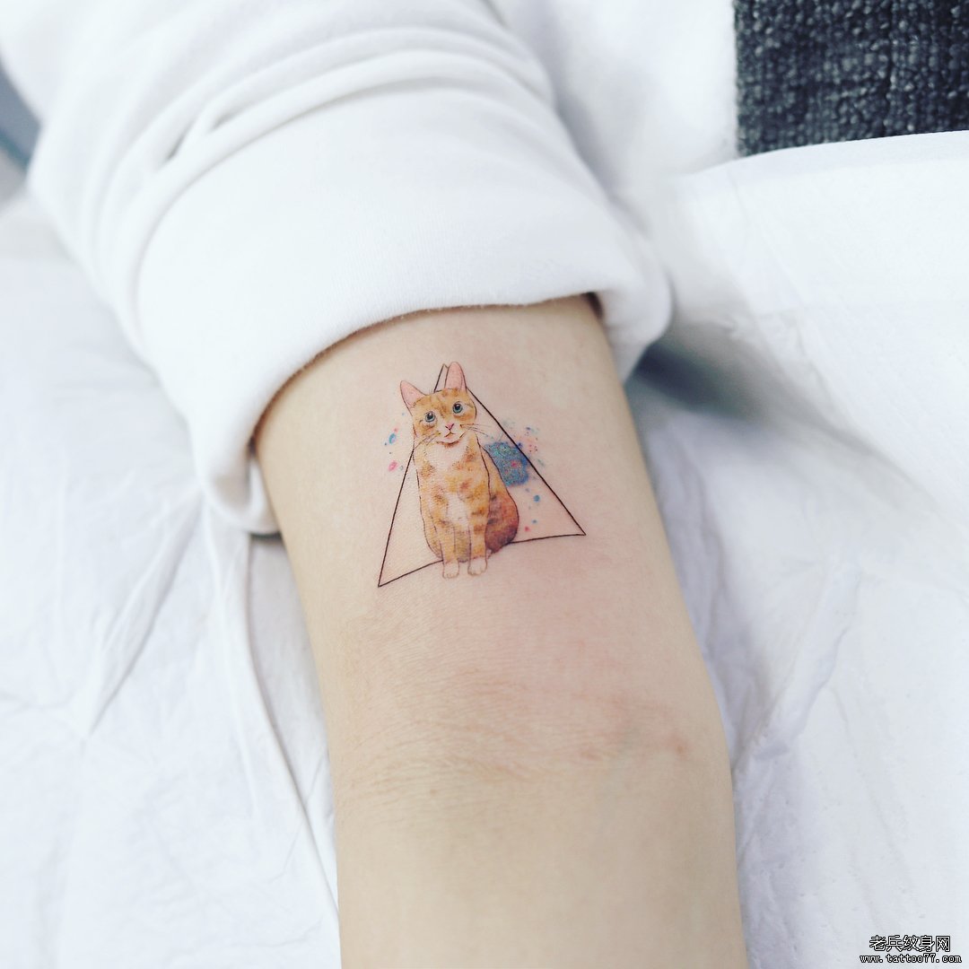 手臂色彩猫咪纹身