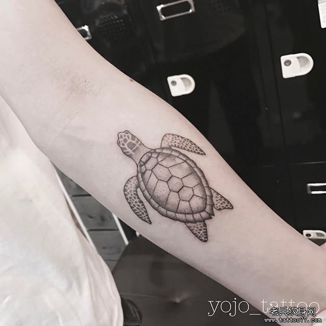 小臂乌龟纹身图案