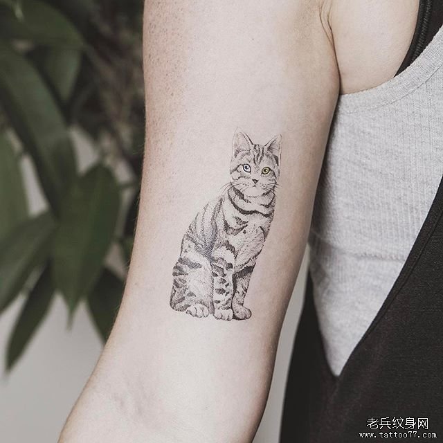 大臂小清新点刺猫咪纹身图案