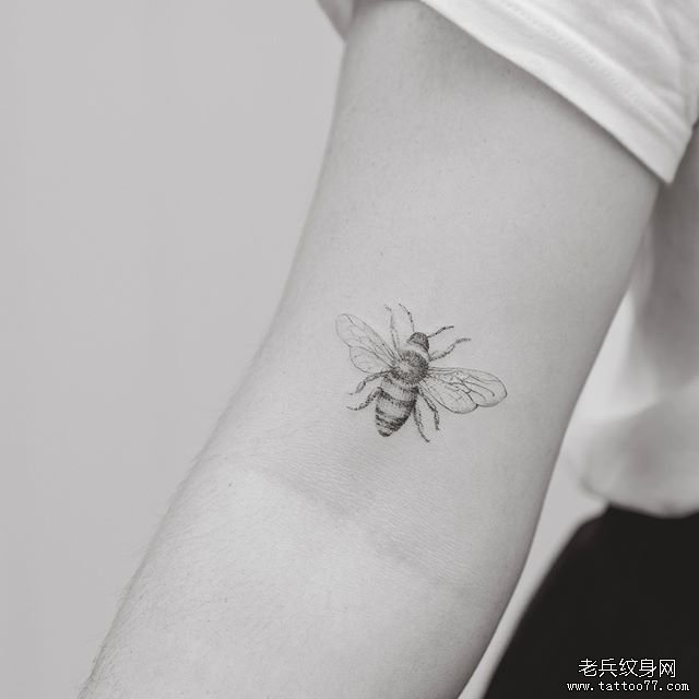 大臂小清新点刺蜜蜂纹身图案