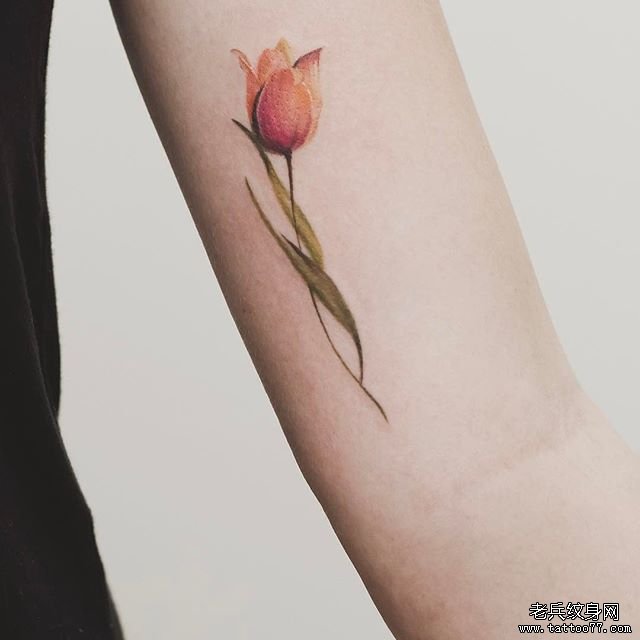 大臂小清新色彩花朵纹身图案