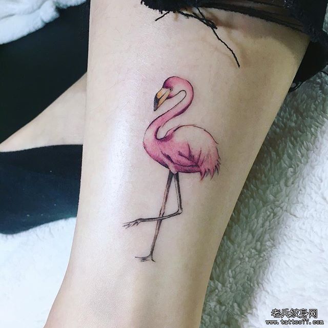 色彩火烈鸟纹身