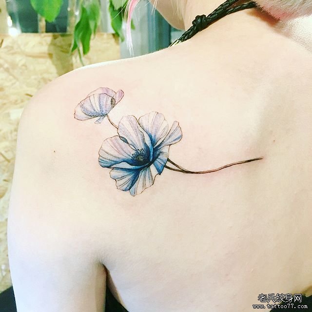 后背肩部色彩花卉纹身