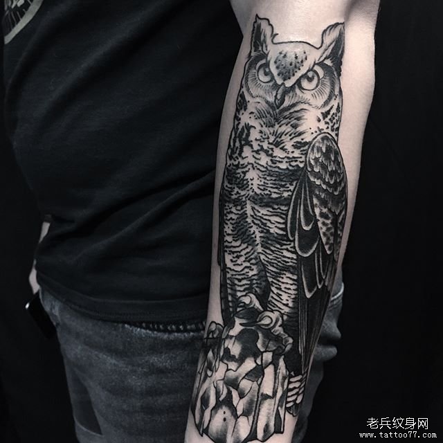 手臂个性猫头鹰纹身图案