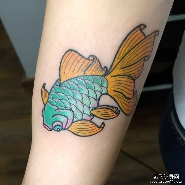 手臂school彩色金鱼纹身图案