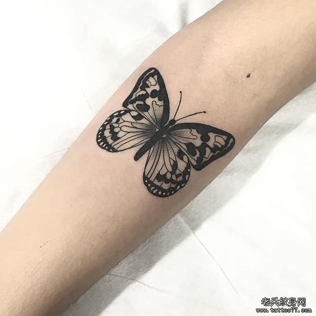 小臂蝴蝶纹身图案