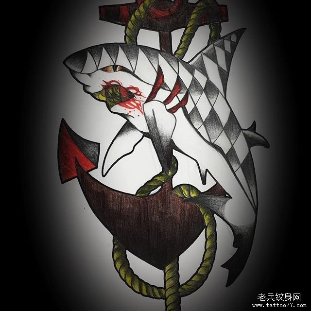色彩鲨鱼船锚纹身图案