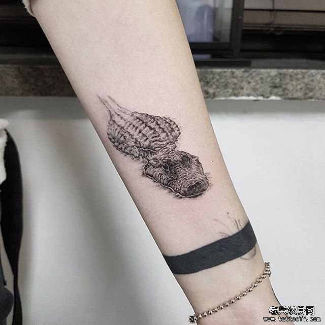 小臂鳄鱼纹身图案