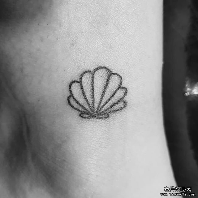 线条贝壳纹身图案