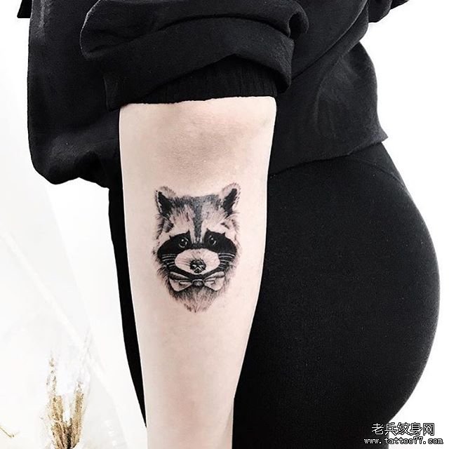 小臂狸猫纹身图案