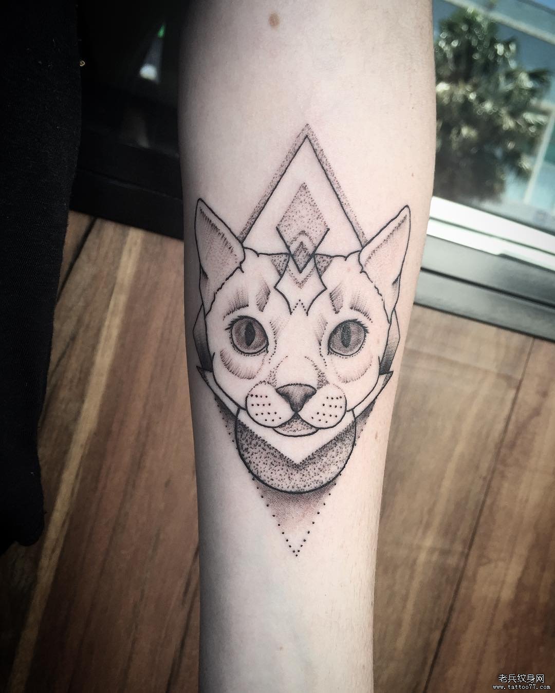 手臂黑灰猫咪几何纹身
