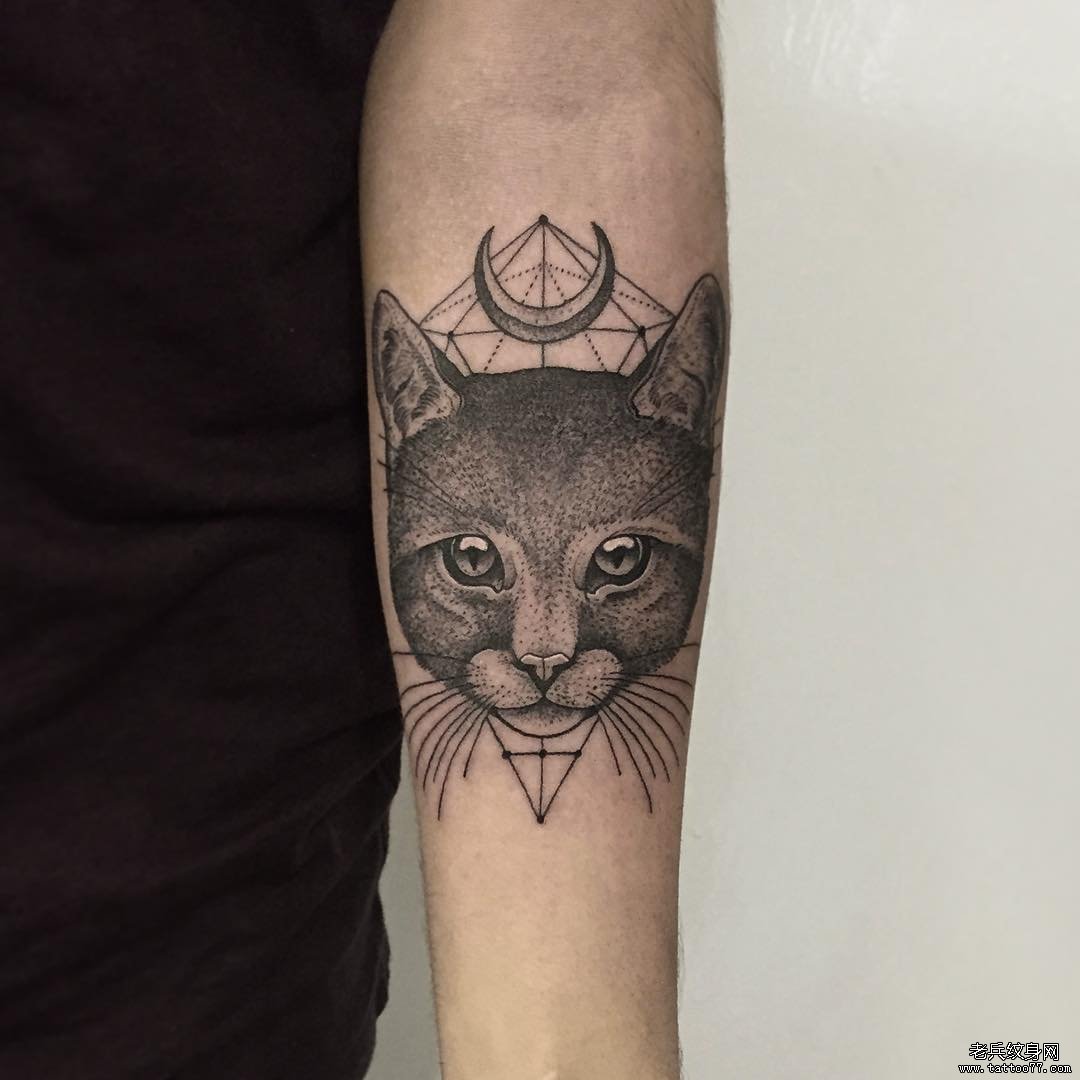 手臂黑灰猫咪纹身