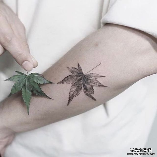小臂小清新枫叶纹身图案