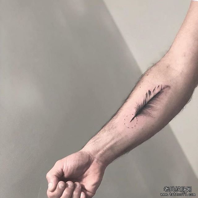 小臂小清新羽毛纹身图案