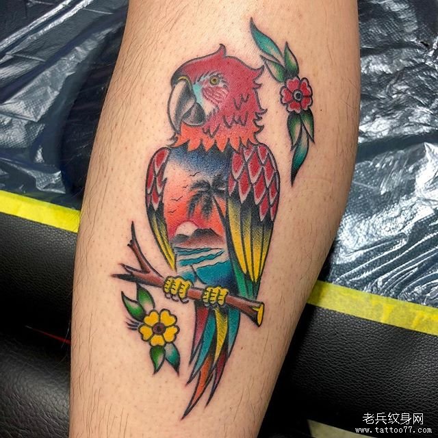 色彩鹦鹉纹身