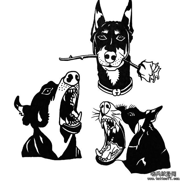 个性黑灰狗纹身手稿