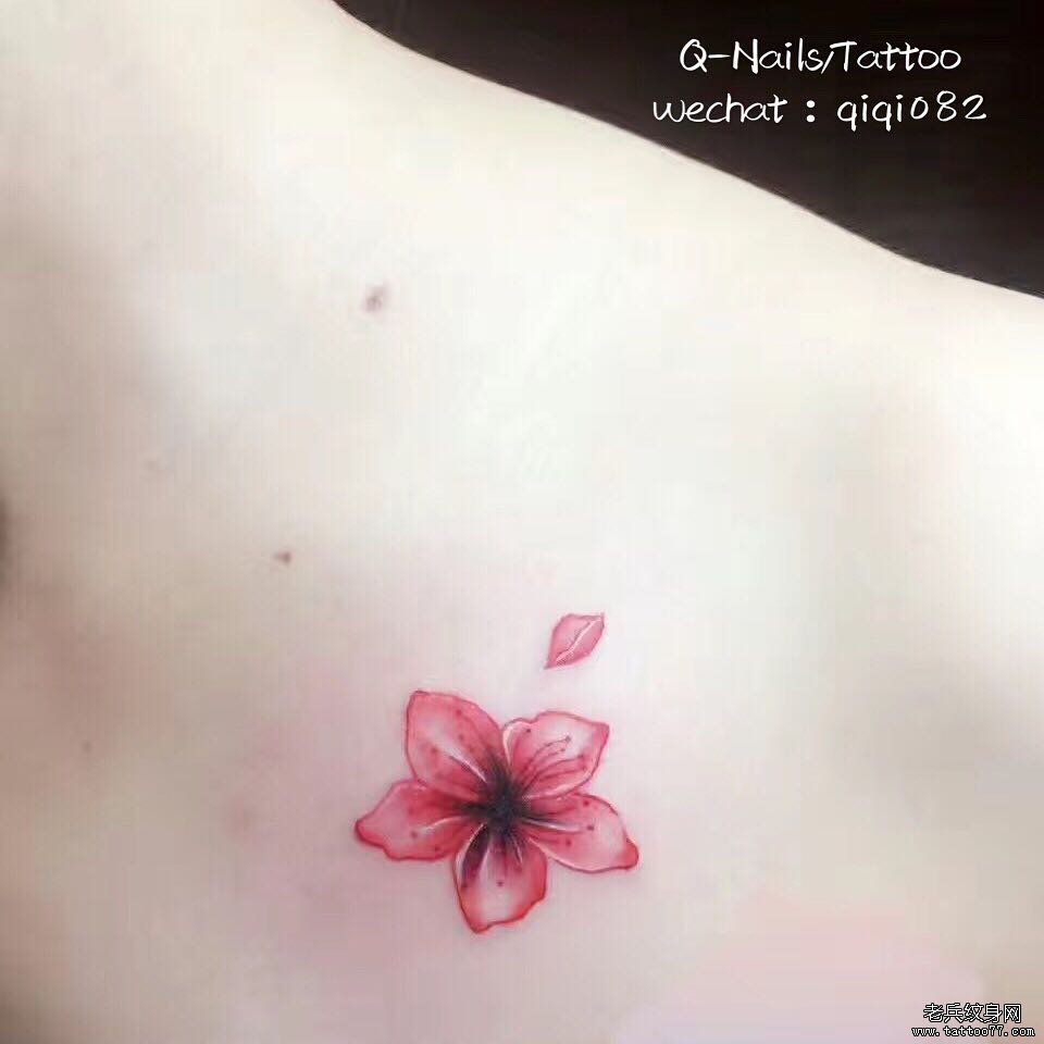 锁骨小清新樱花纹身图案