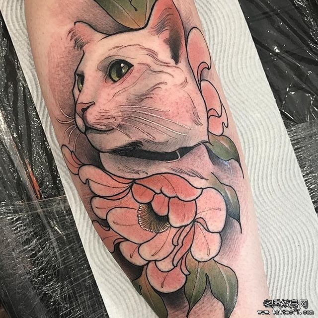 色彩猫咪牡丹纹身图案