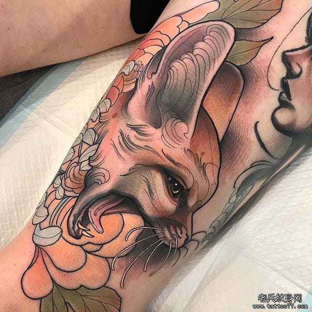 色彩猫菊花纹身图案
