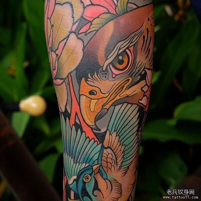 色彩老鹰纹身图案