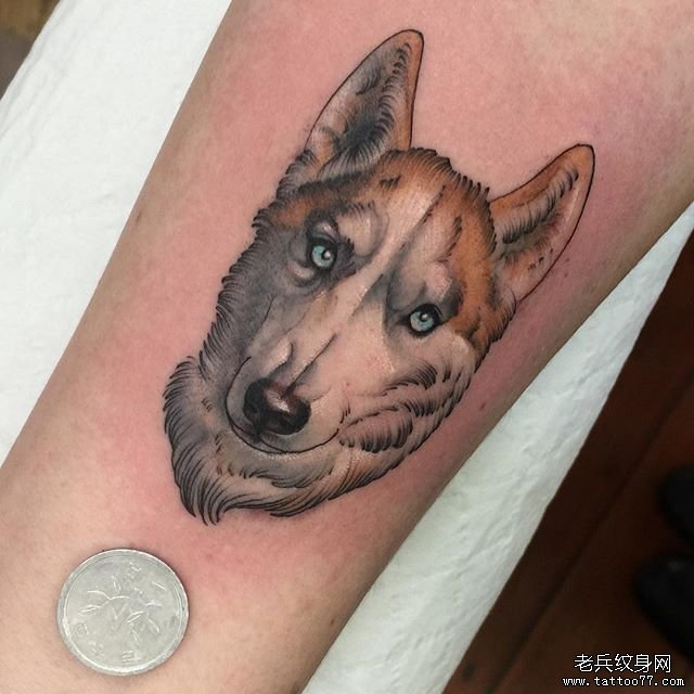 色彩狗纹身图案