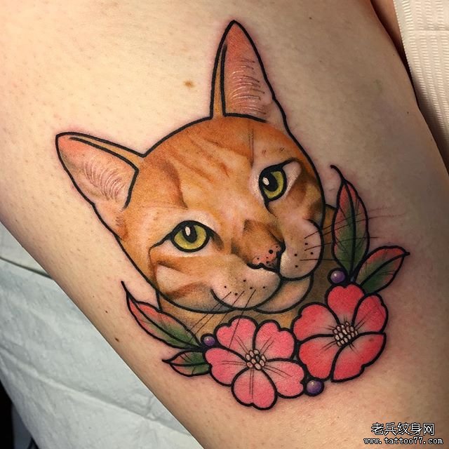 色彩猫咪纹身图案