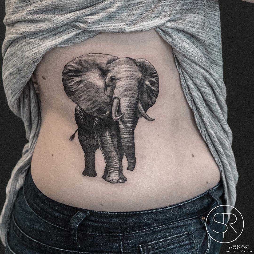 腹部大象纹身图案