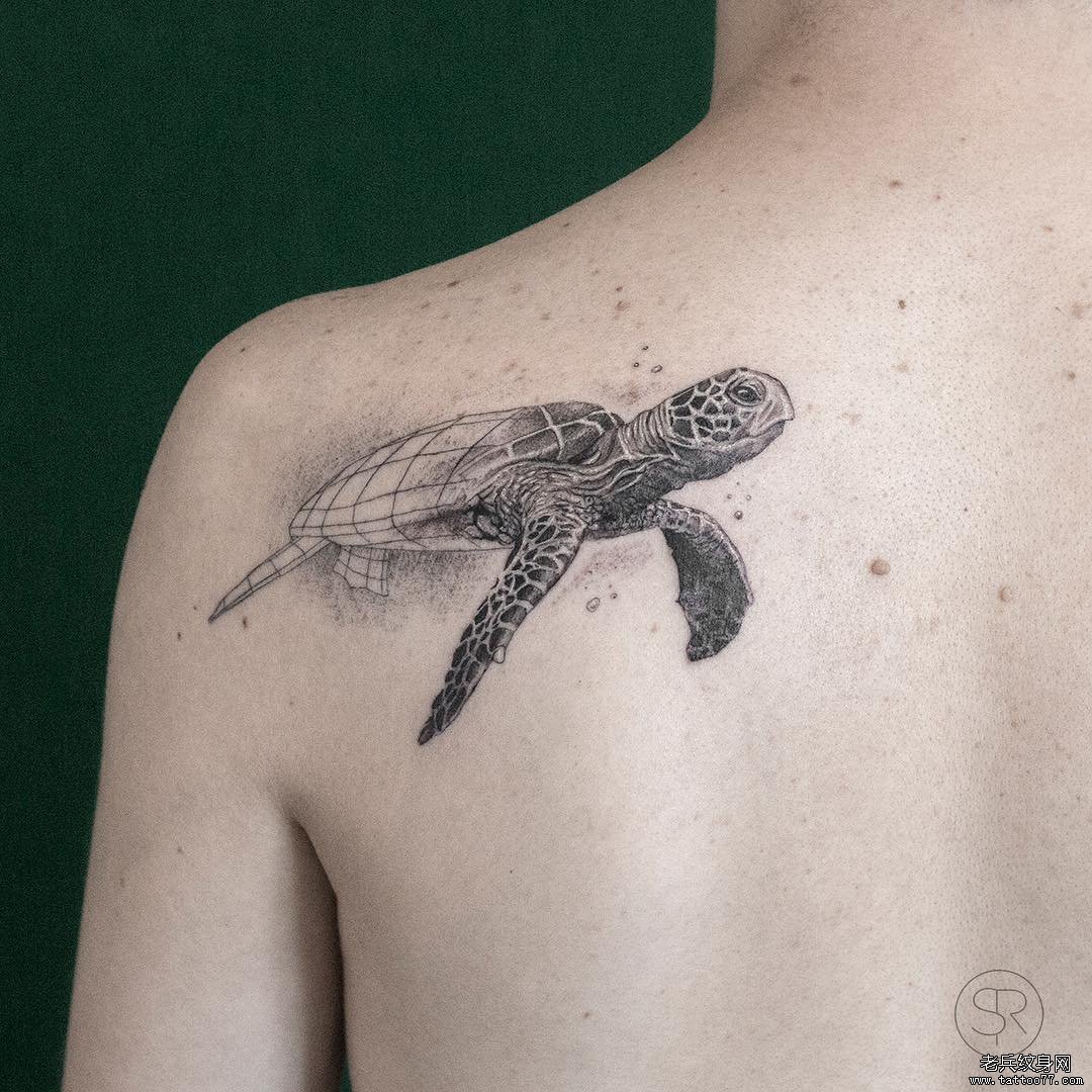 后背肩膀点刺海龟纹身图案