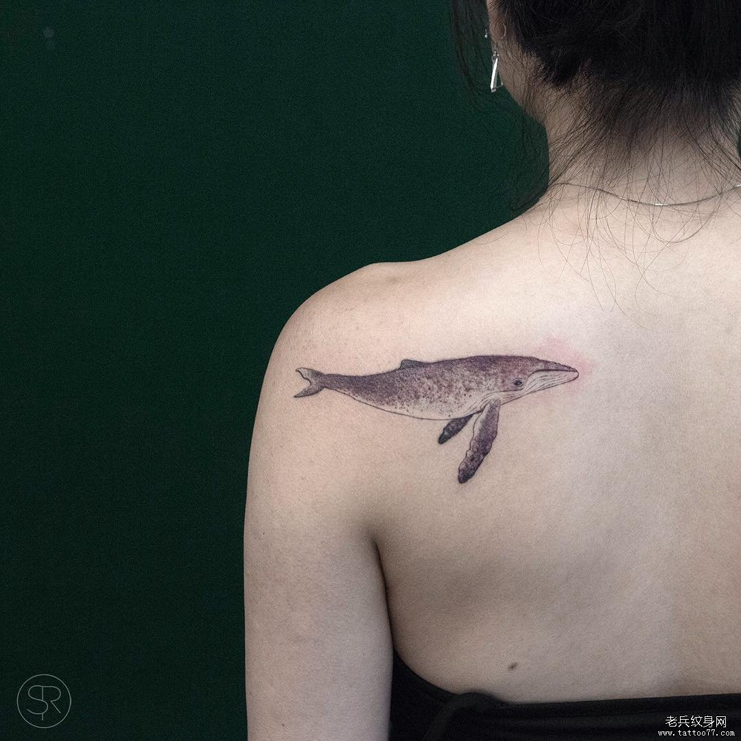 后肩鲸鱼纹身图案