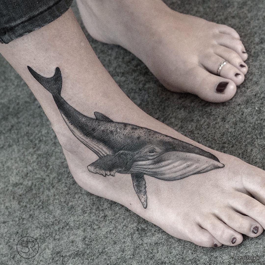 脚背鲸鱼纹身图案