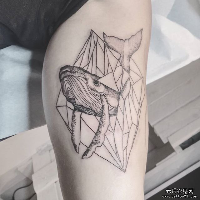 小腿几何鲸鱼纹身