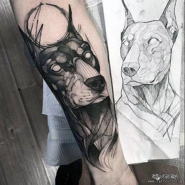纹身素材第723期——杜宾犬