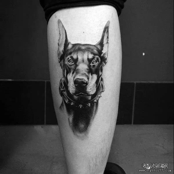 纹身素材第723期——杜宾犬