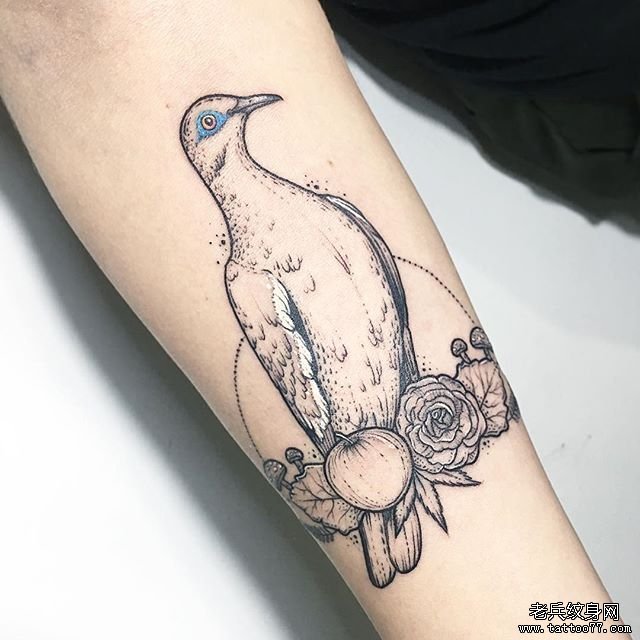 简笔鸽子纹身图案