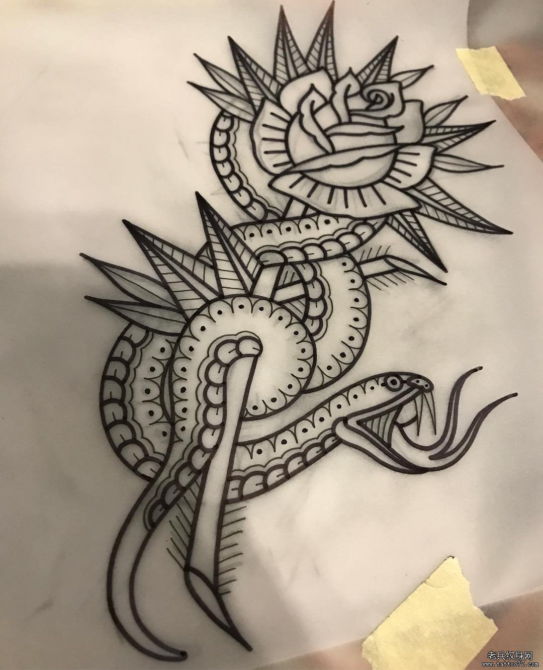 school玫瑰蛇纹身手稿