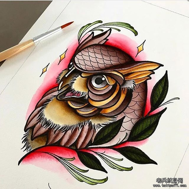 色彩猫头鹰纹身手稿