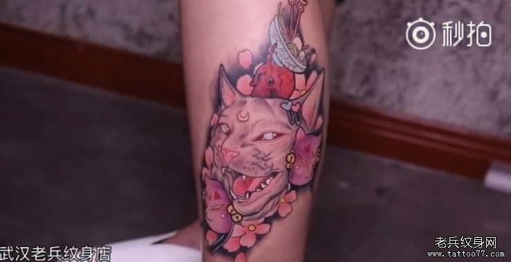 小腿猫咪纹身视频