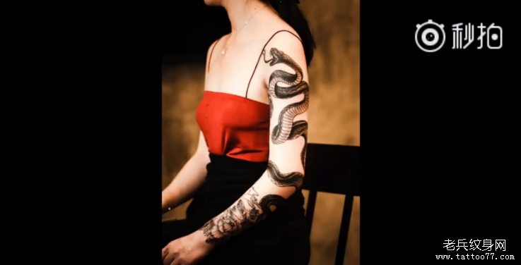 花臂蛇纹身视频