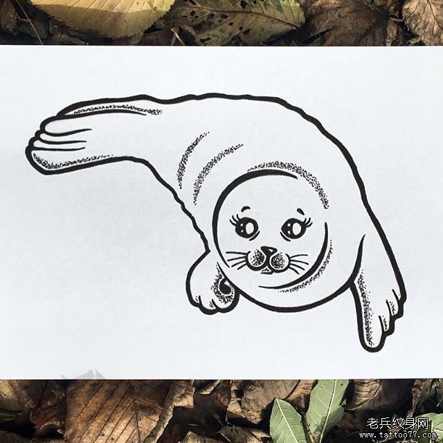 简笔画海豹纹身手稿