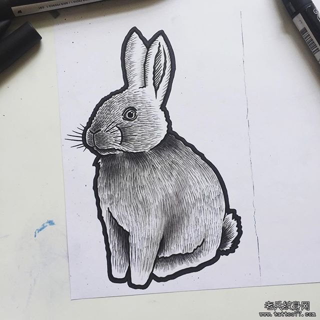 卡通兔子纹身手稿