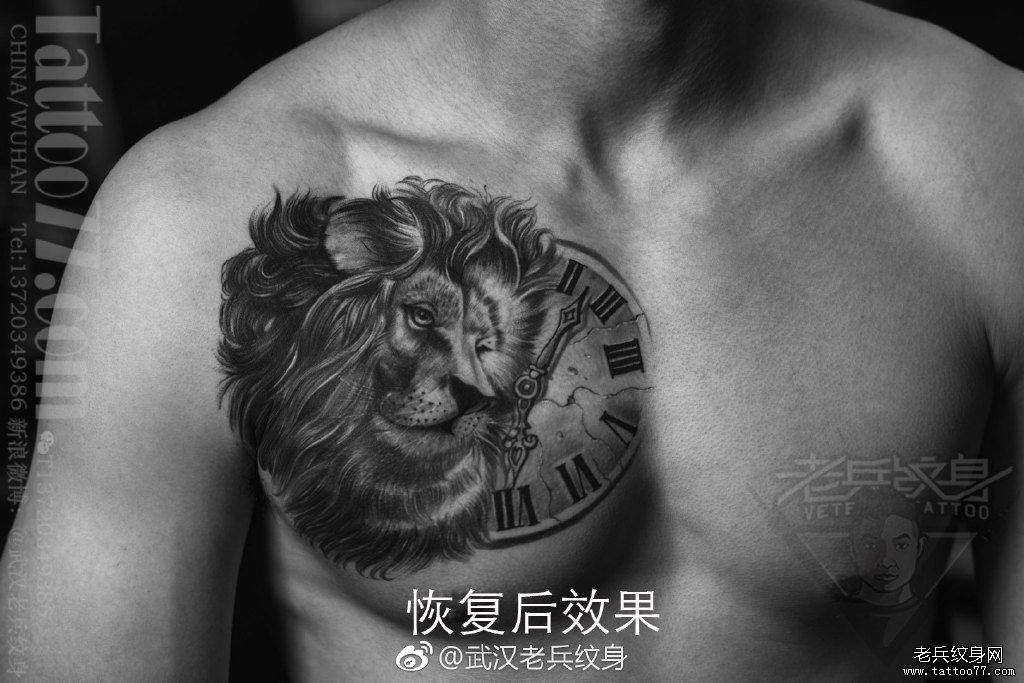 胸口黑灰写实狮子纹身