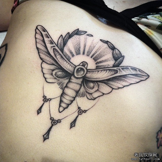 背部黑灰飞蛾tattoo