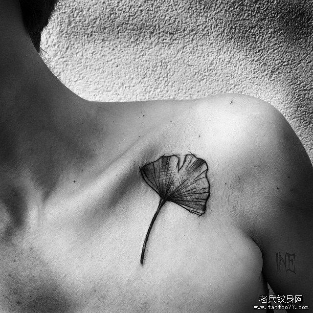 胸前小清新银杏叶速写线条风格纹身图案