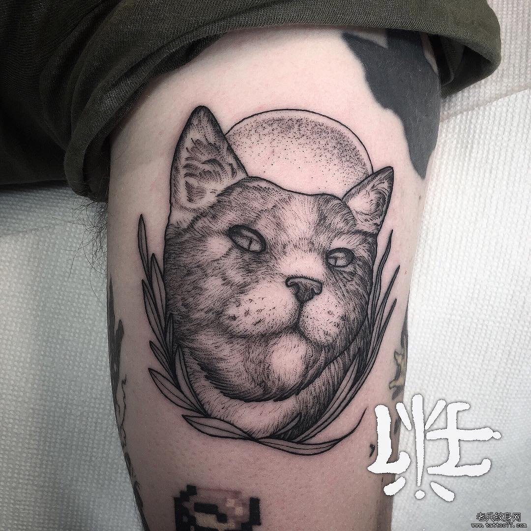 手臂黑灰猫咪纹身