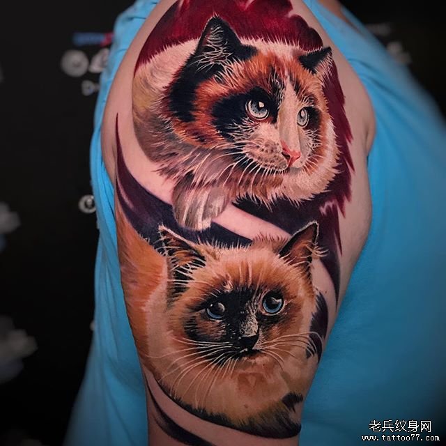 写实猫咪纹身图案