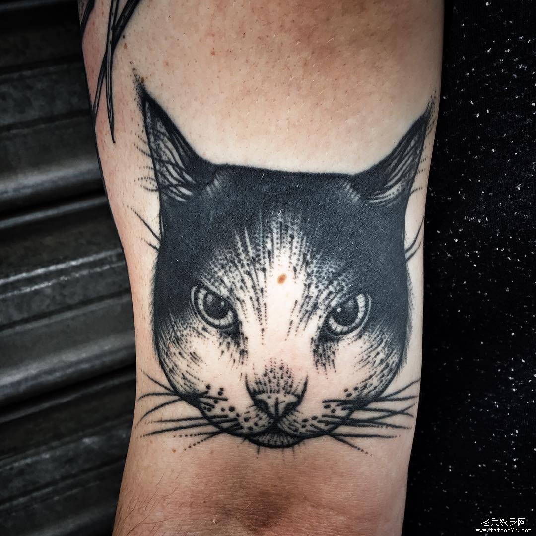 手臂黑灰猫文身